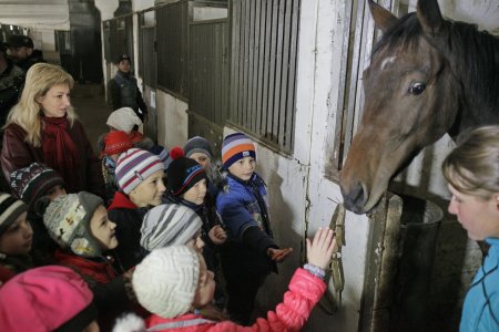 Еще 30 детей из Луганска при поддержке первых лиц Республики посетили конно-спортивный клуб «Декурион» Еще 30 детей из Луганска при поддержке первых лиц Республики посетили конно-спортивный клуб «Декурион»